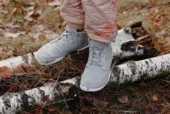 Siebenschläfer Refoxed