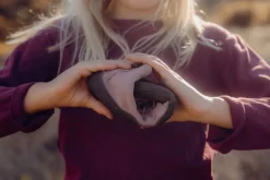 Winterheide Resouled